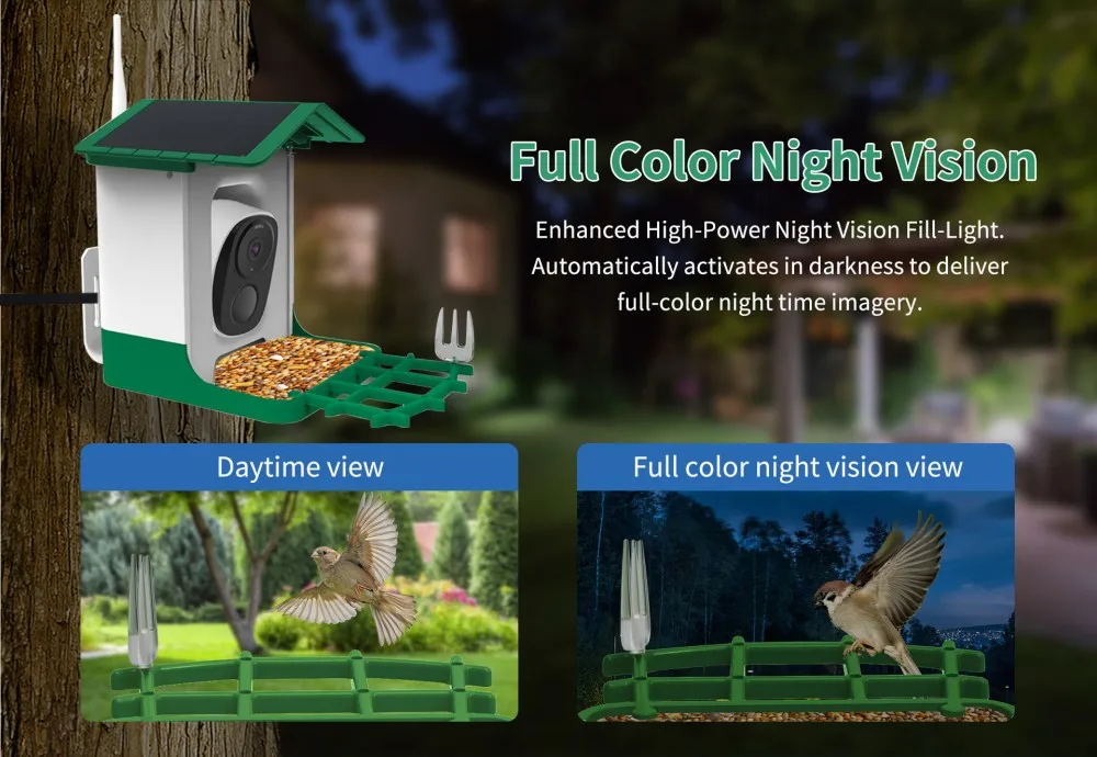 AI Smart Bird Recognition Hummingbird Feeders 3MP 2K Wide View Bird Watching Camera Real Time Video Automatic Bird Feeder Camera