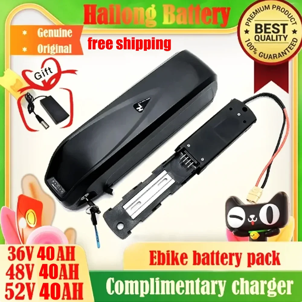 Original 48V 36V 52V 20AH Hailong ebike Battery 40AH BMS for 350W 500W 750W 1000W Motor and duty-free gift charger