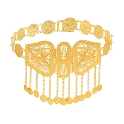 Golden Butterfly Hollow Coins Metal Belt Female Body Jewelry Fashion Morocco Turkey Kurds Arab Ethnic Woman's Waist Belly Chains