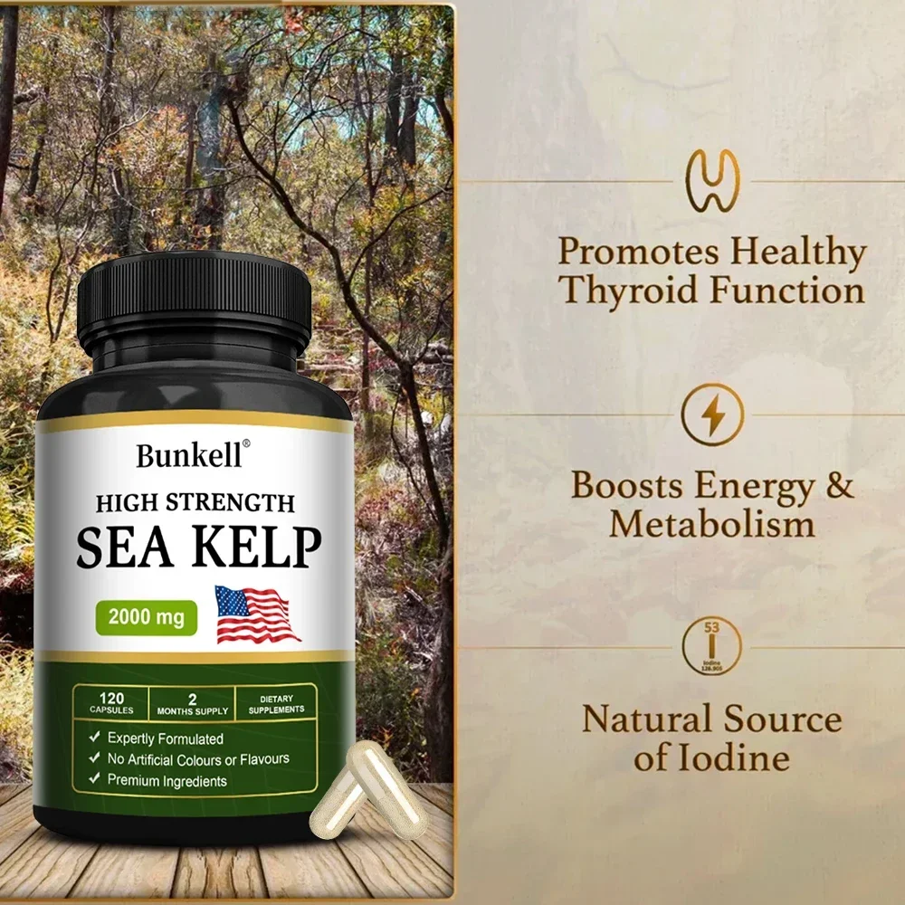 Bunkell High Strength Seaweed Capsules - Natural Iodine Supplement to Promote Healthy Thyroid Function, Energy, Metabolism