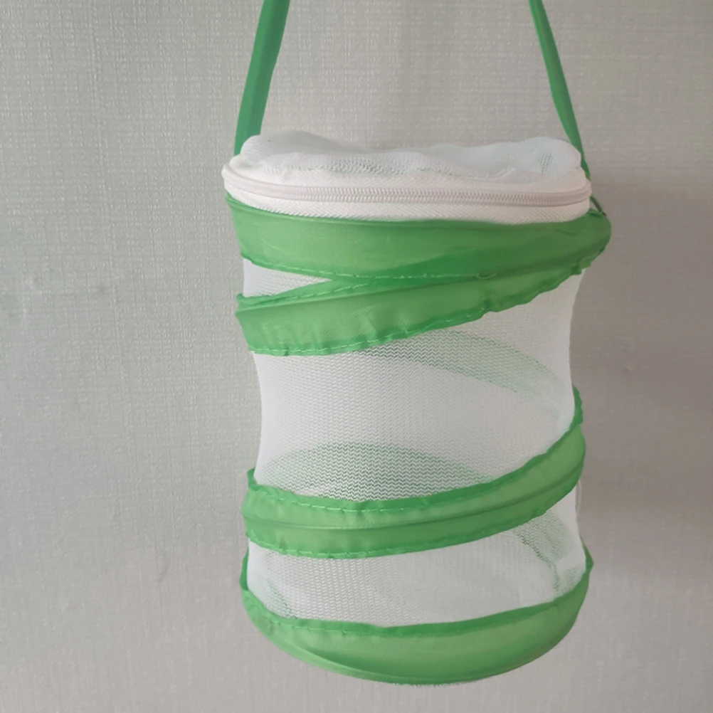 2 insetti e insetti con gabbia a farfalla per bambini che esplorano esplorano l'osservazione colorata per bambini piccoli