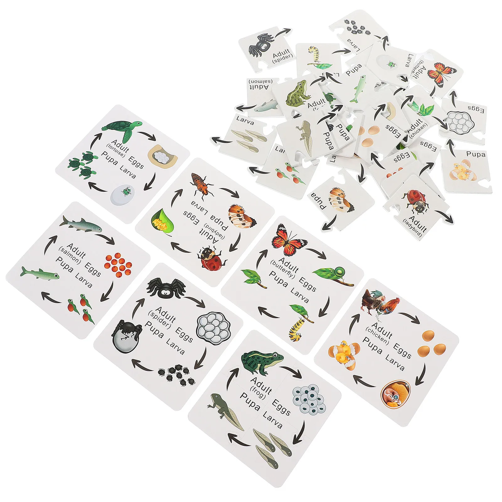 

7 наборов развивающих игрушек-пазлов для детей: игры на сопоставление жизненных циклов, обучение для детей