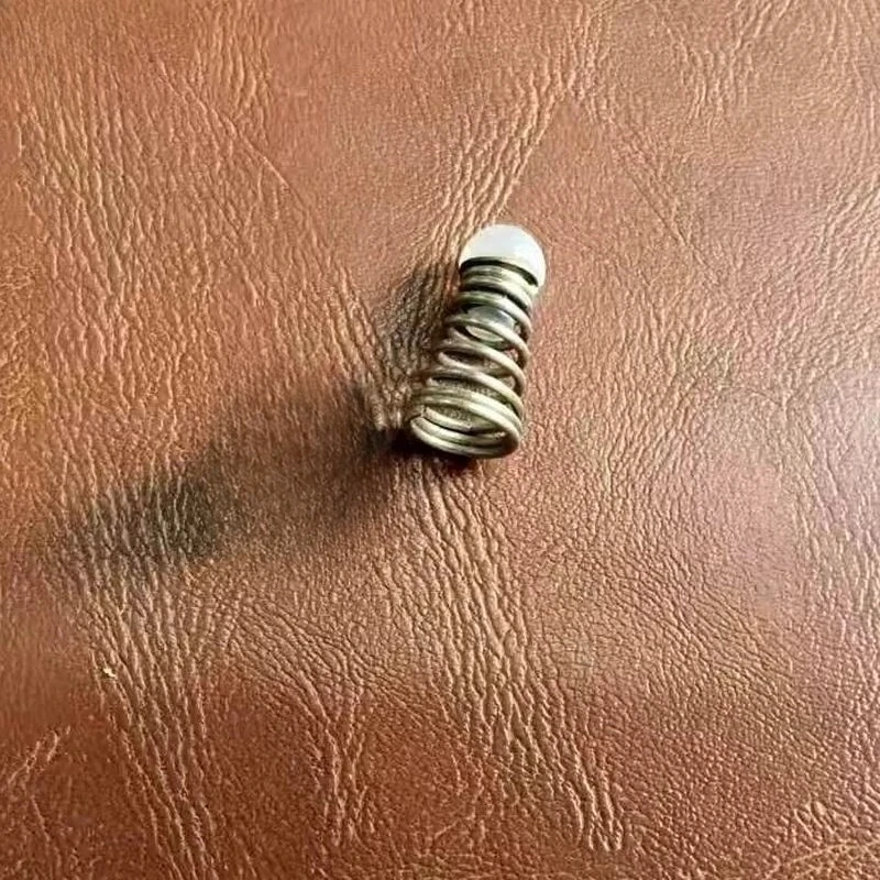 1PCS For DELONGHIs coffee machines ECO310/221/155 originals brewings heads springs pressures valves