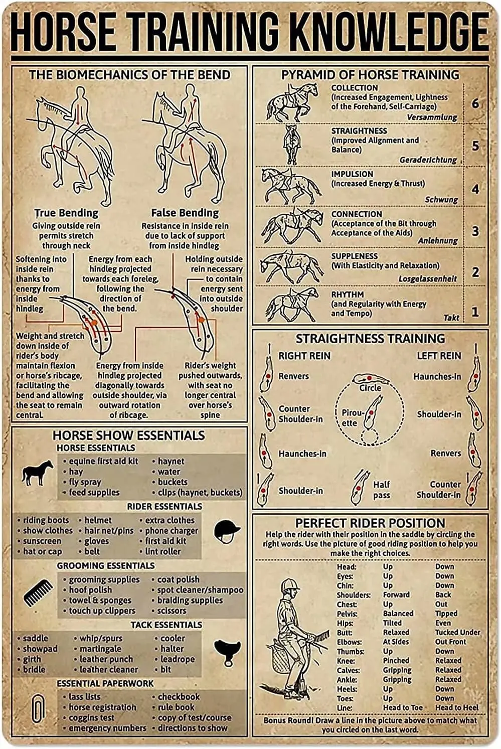 Letrero de estaño de Metal con conocimiento de entrenamiento de caballos, posición de jinete perfecta, pintura de hierro Retro, letrero de Bar, decoración de cueva de personas, póster familiar de cafetería