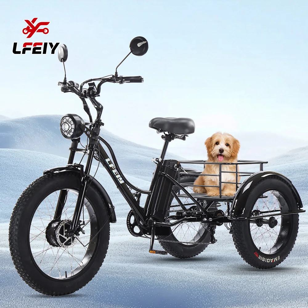 

All-terrain 24-inch Cheetah electric tricycle fat tire pedal power electric tricycle thick tire with basket