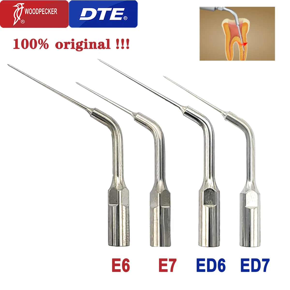 Woodpecker Dte Dent…