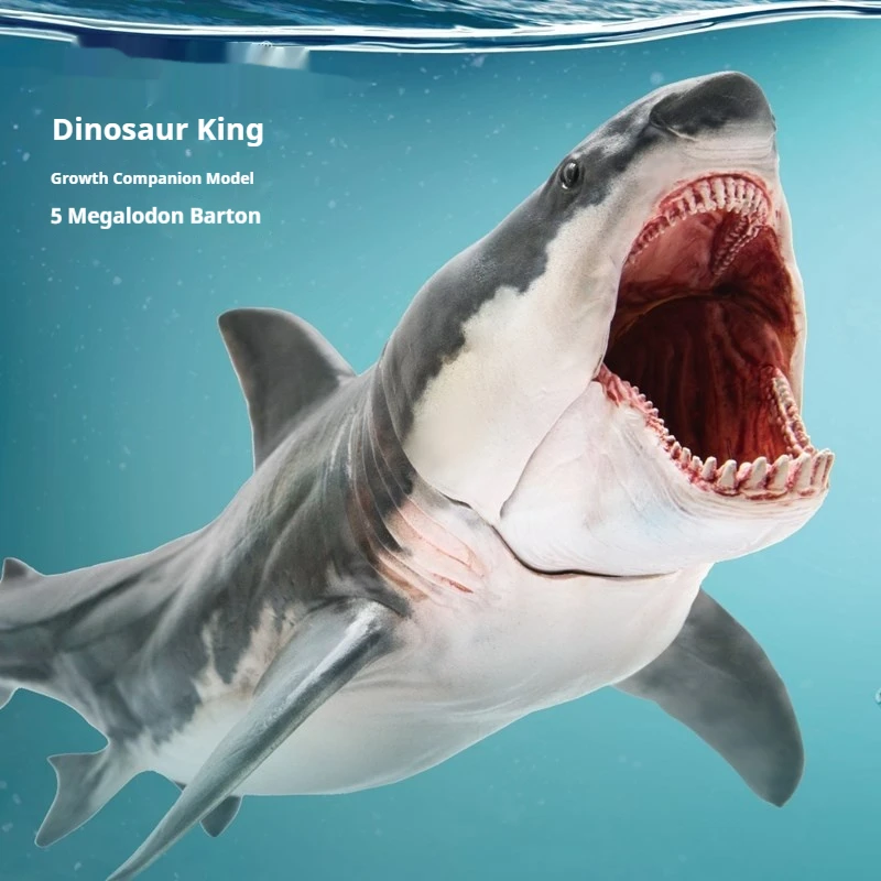 Hot Genuine Action Figures Growth Companion Static Animal Model 15 Megalodon Patton Ornament Decorative Toy Gift Boys And Girls