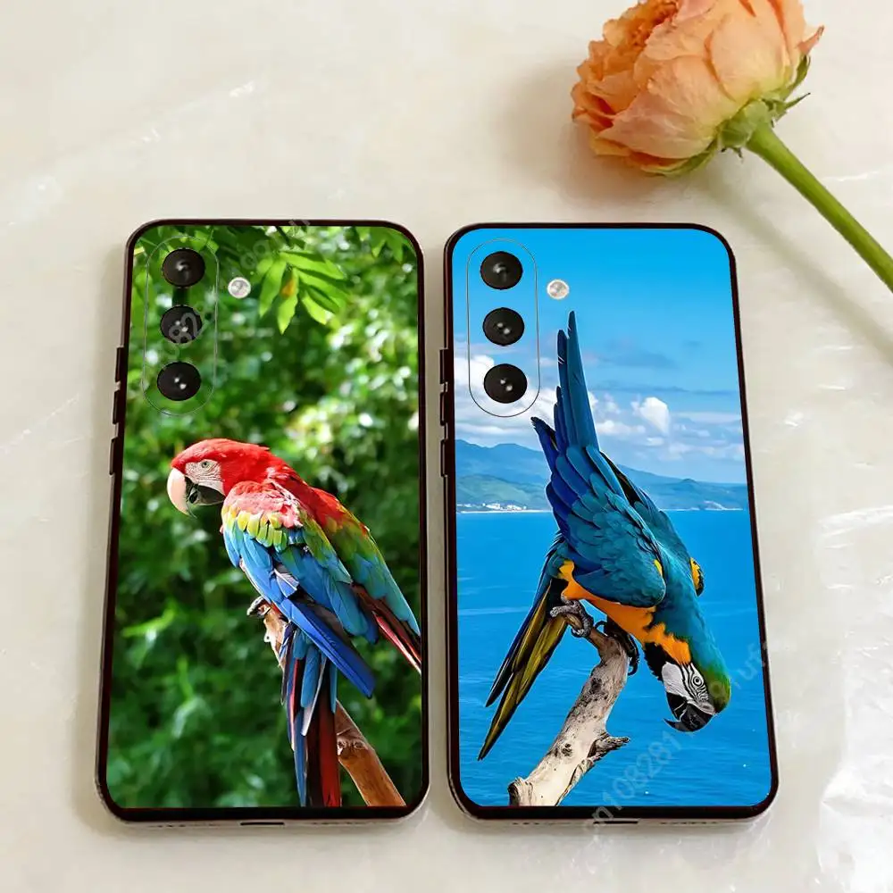 

Rainbow Macaw Bird Phone Case for Samsung Galaxy A73 72 71 70 Note20 Note10 Note9 Ultra Plus FE Silicone Cover