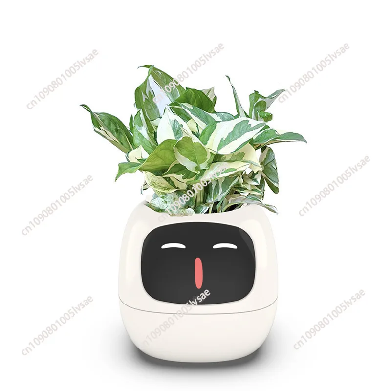 Smart Cute Pet Small Flower Pot Ivy Desktop Green Plant Allows Your Plants to Express Emotions