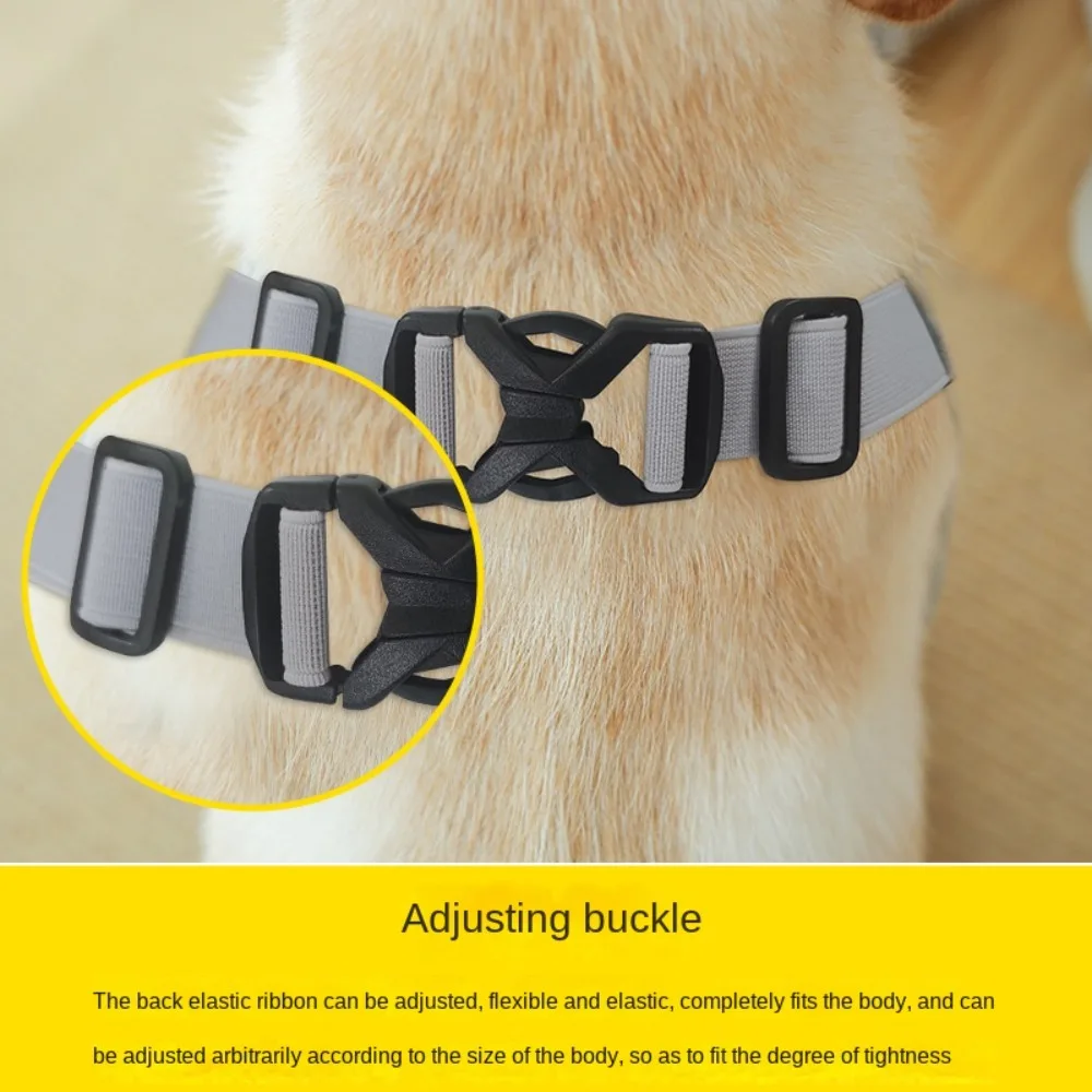 Care Tools Dog Supplies Pain Relief Pet Dog Puppy Brace Pet Elbow Pads Dog Elbow Protector Dogs Shoulder Support