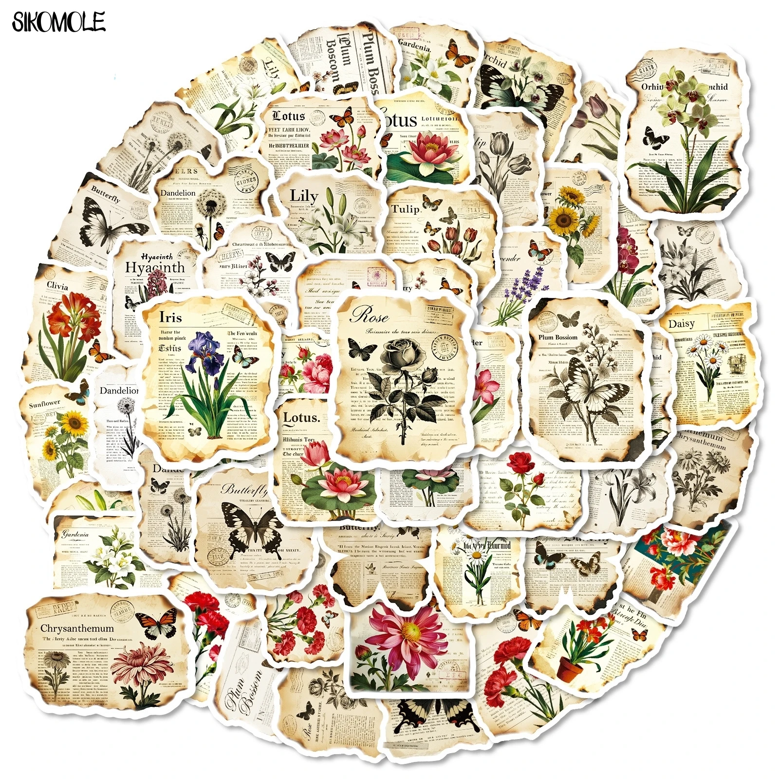 สติกเกอร์ลายวินเทจ 10/56 ชิ้น ลายดอกไม้ ลายหนังสือพิมพ์ ลายกราฟฟิตี สำหรับตกแต่งสมุดภาพ แล็ปท็อป เครื่องเขียน กระเป๋าเดินทาง ของเล่นเด็ก
