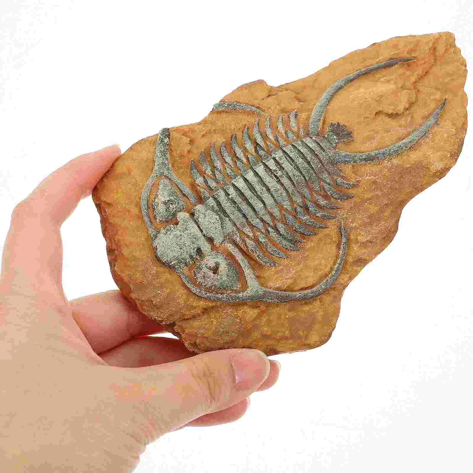 2 Pcs Simulated Resin Fossil Decorative Terrarium Decors for Home Snake Landscape Crawling DIY Aquarium Simulation Reptile