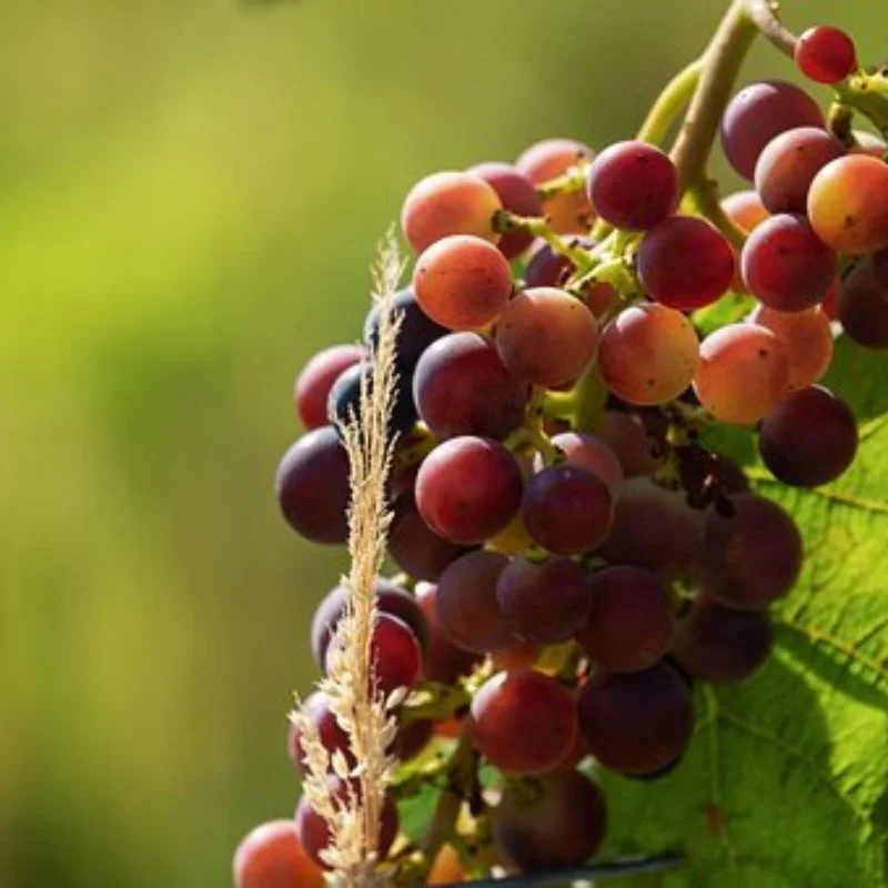 

Для 1/8 RC раллийных автомобилей, дорожные шины, шестигранные пластиковые колеса 17 мм для гоночного автомобиля 1/7 1/8 KM WRC C3 ARRMA