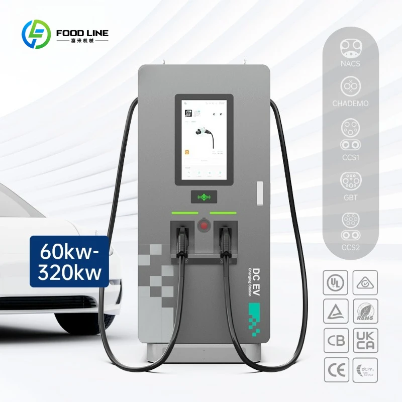 Customized DC Fast Charger Station DC EV Charger Electric Vehicle Charging Station DC Charging Pile 60kw 80kw 120kw 240kw