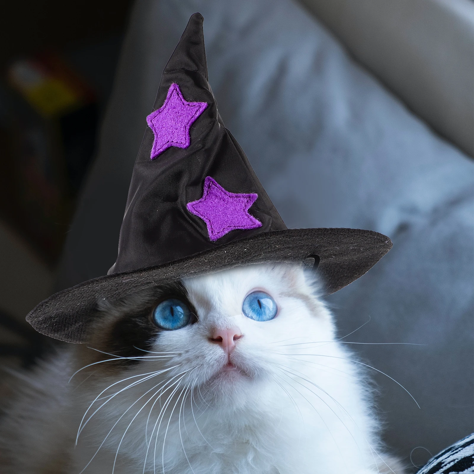 

Adjustable Witch Pet Hat Halloween Costume Pet Hats Adorable Dog Hat for Festivals Cat Witch Caps Cosplay Cat Hats