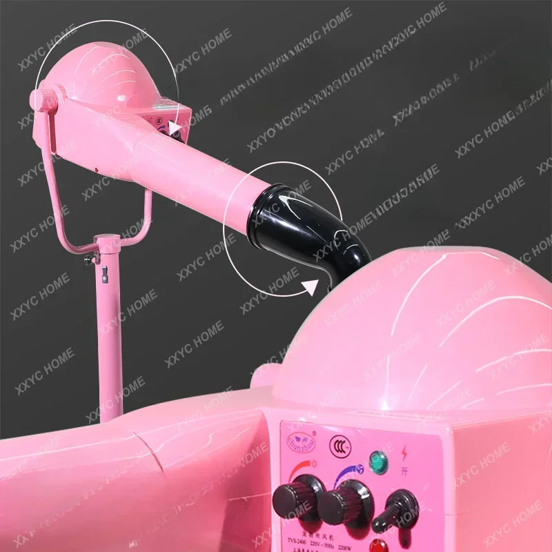 Pet Beauty Modeling Teddy Bichon Dog Special Bass Large Hair Dryer Negative Ion Vertical Roller Raising Machine