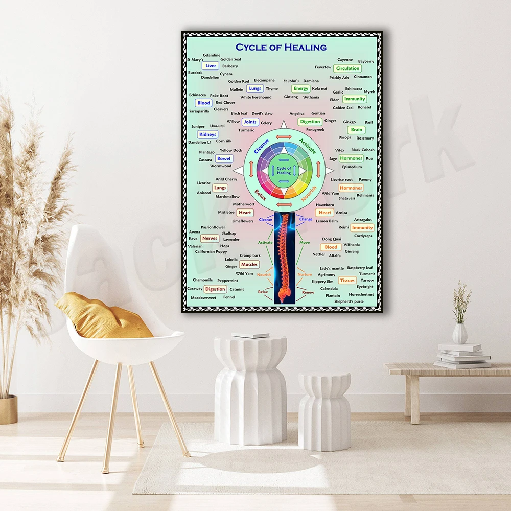 Healing cycle prints, health infographics, herbal wall art, natural remedies, decorative poster