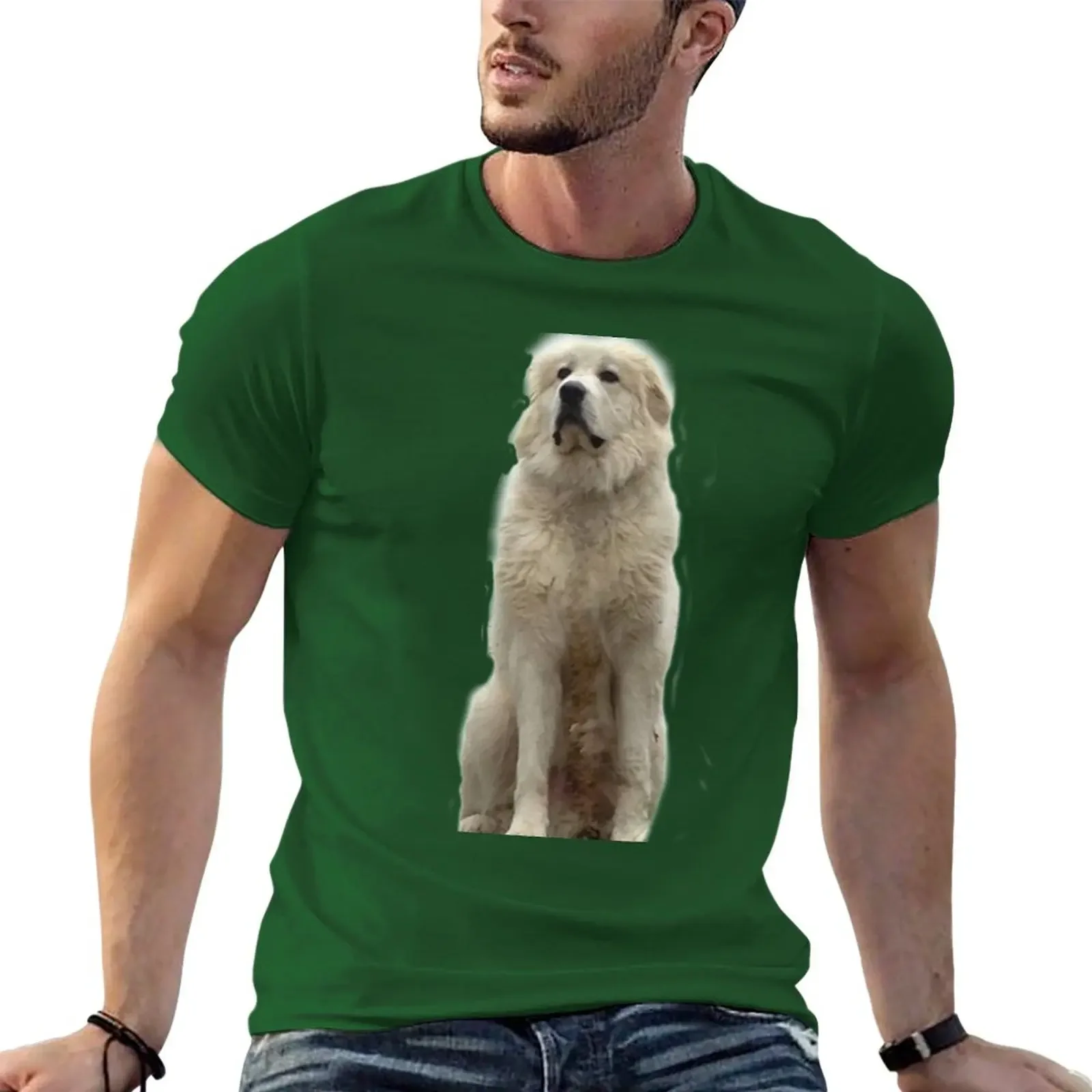 The Great Pyrenees mountain dog T-Shirt anime Blouse boys white shirts men clothing new in tops & tees vintage Informal Outfits