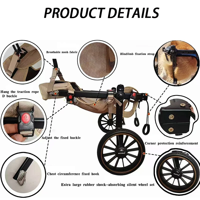 Thumbnail 3 - #16 Latest Wheelchairs Updates