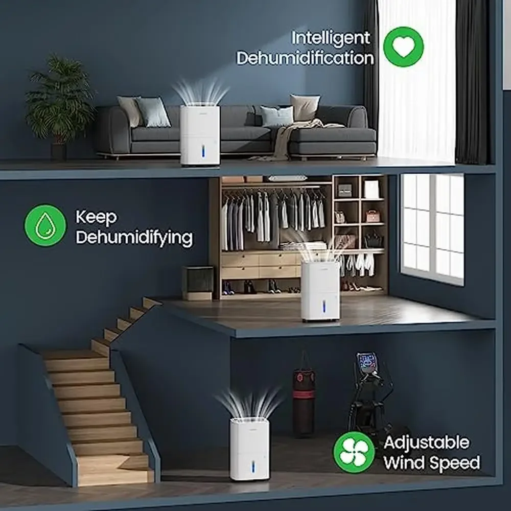Energy Star 80 Pinte Deumidificatore Seminterrati domestici Camere di grandi dimensioni Controllo automatico Funzionamento silenzioso Tubo di scarico Timer ad asciugatura automatica Aria pulita