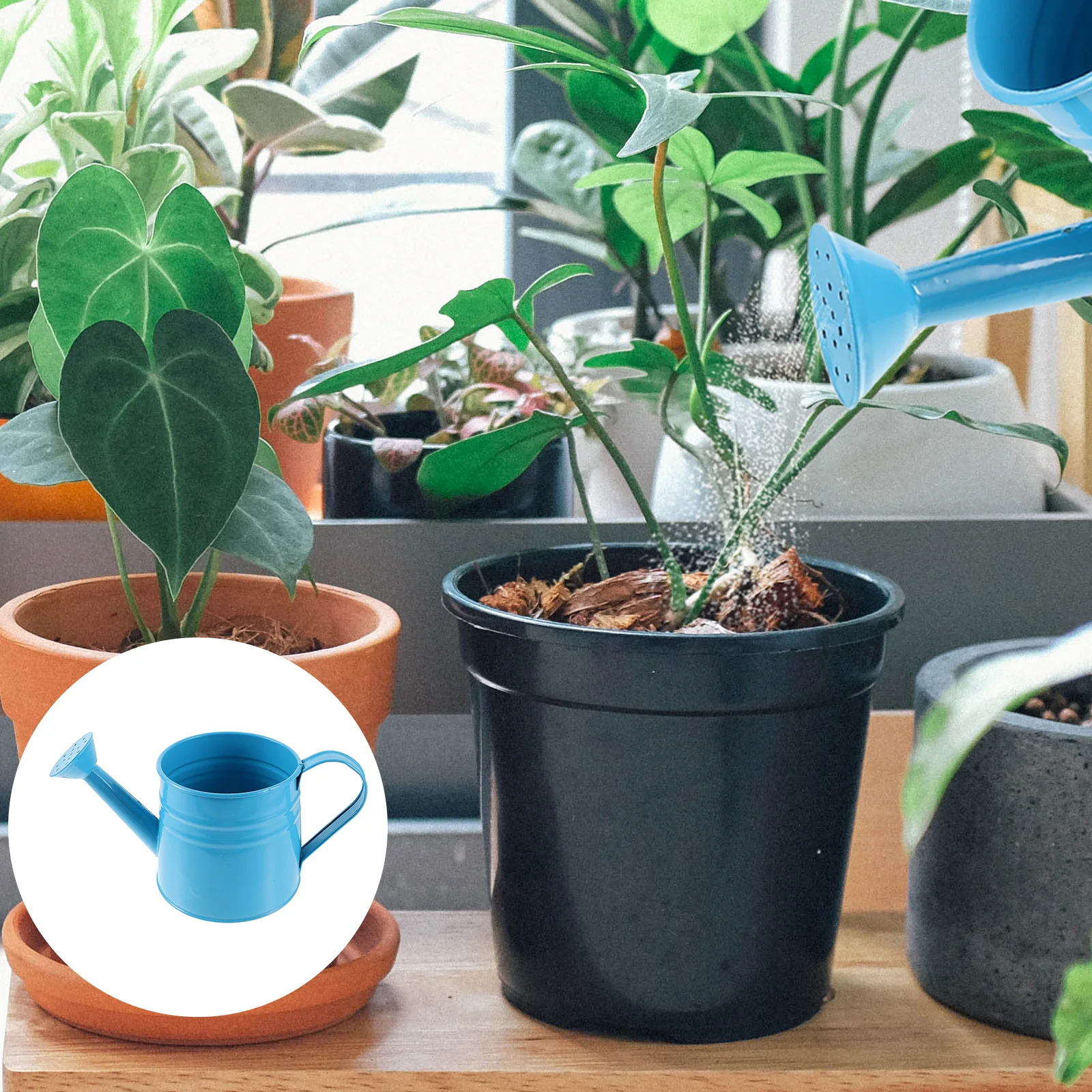 Iron Watering Can Durable Heavy Duty Garden Pot For Succulents Plants Use Eco Friendly No Smell Long Term