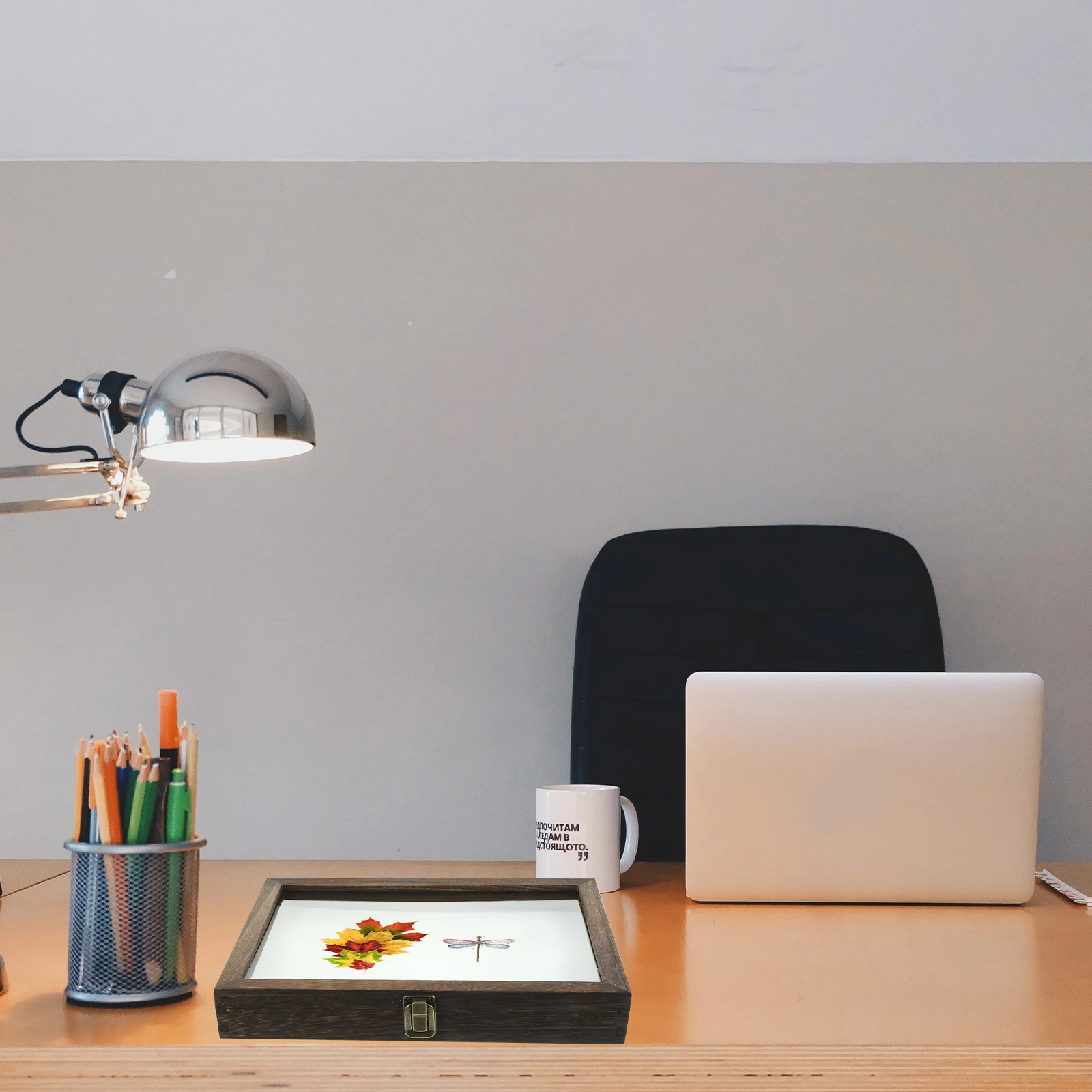 

Insect Specimen Box Display Case Entomology Cases Photo for Butterfly Collection Bugs Wooden Mother