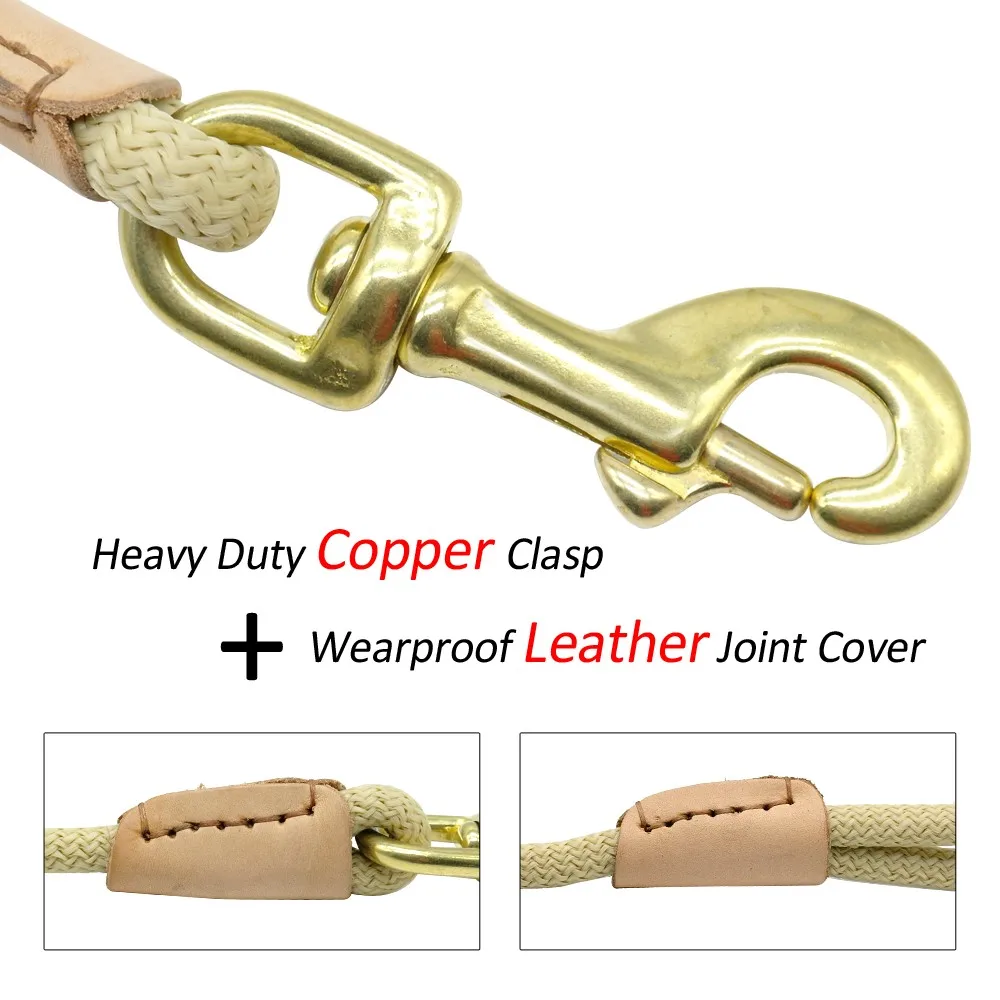 Thumbnail 4 - #89 Retractable Dog Leads Deals & Discounts