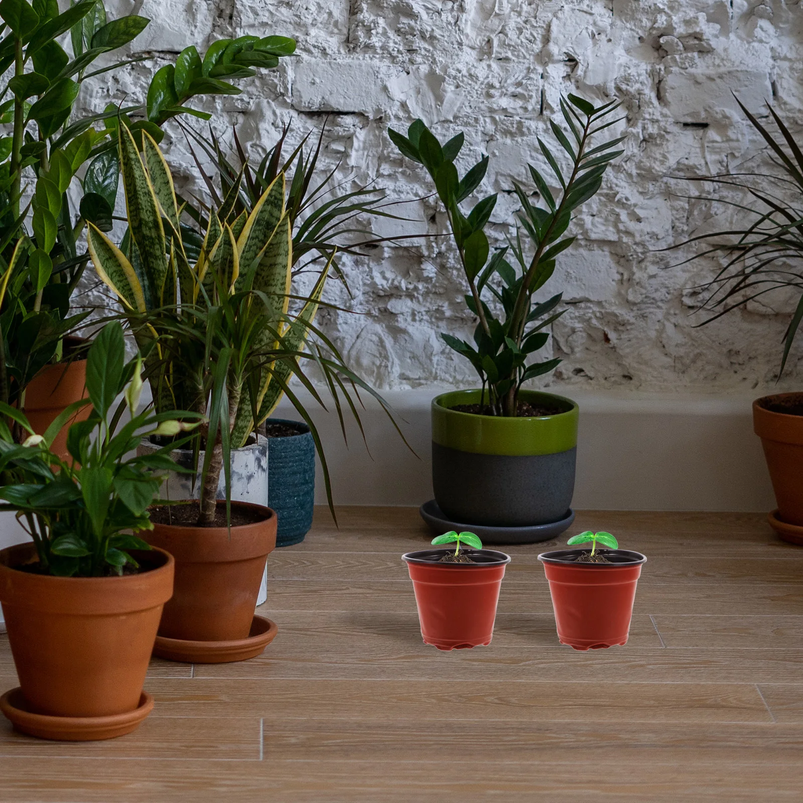 

100Pcs Plastic Nursery Cups Lightweight Sturdy Plant Grow Pots with Drainage Holes for Seedling Transplanting Gardening Plant