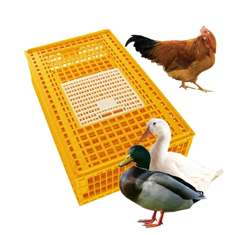 

2023 Hot Sale chicken and duck transport box baby chicken poultry transport cage plastic folding chicken transport cage