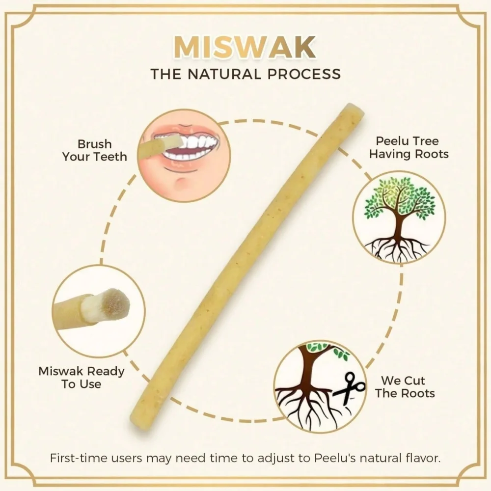 FREEGRIN 16er-Pack Natürliche Miswak-Stäbchen-Set mit Schneidwerkzeug, Tragbare Siwak Traditionelle Zahnbürste, Kaustäbchen für Zahnpflege, Bestseller – Detail 2