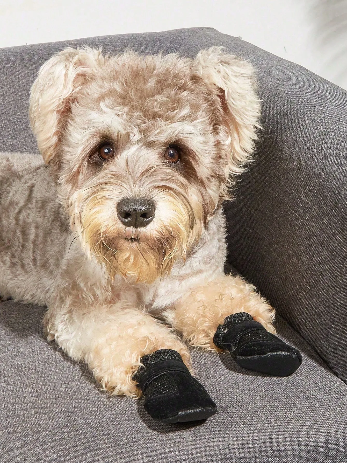 Dog Shoes for Small Dogs, Booties Soft and Lightweight with Breathability, Dog Boots for Spring Summer Hot Pavement  Non Slip