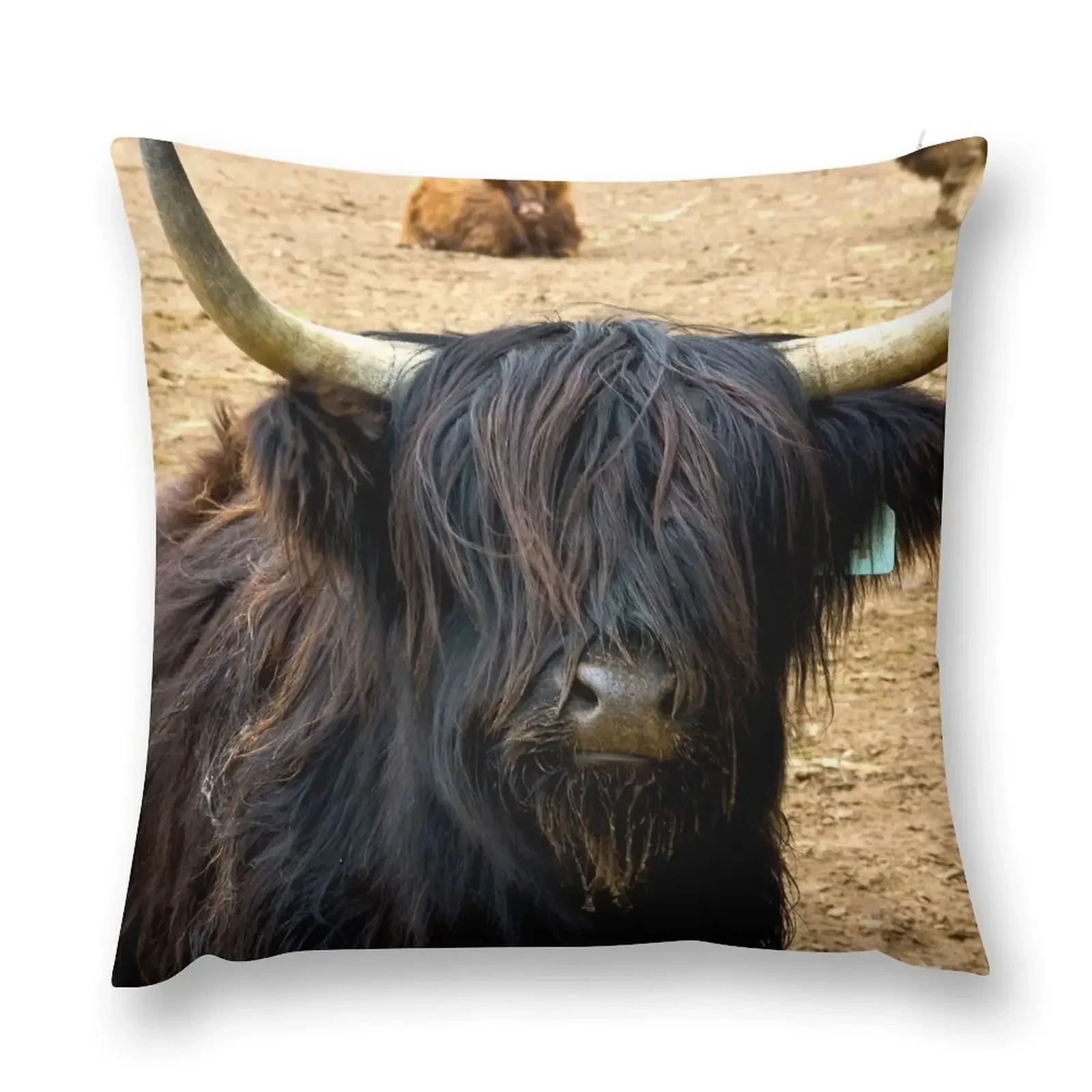 

Highland Cattle #2 Throw Pillow Plaid Sofa Bed pillowcases Cushions Cover pillow
