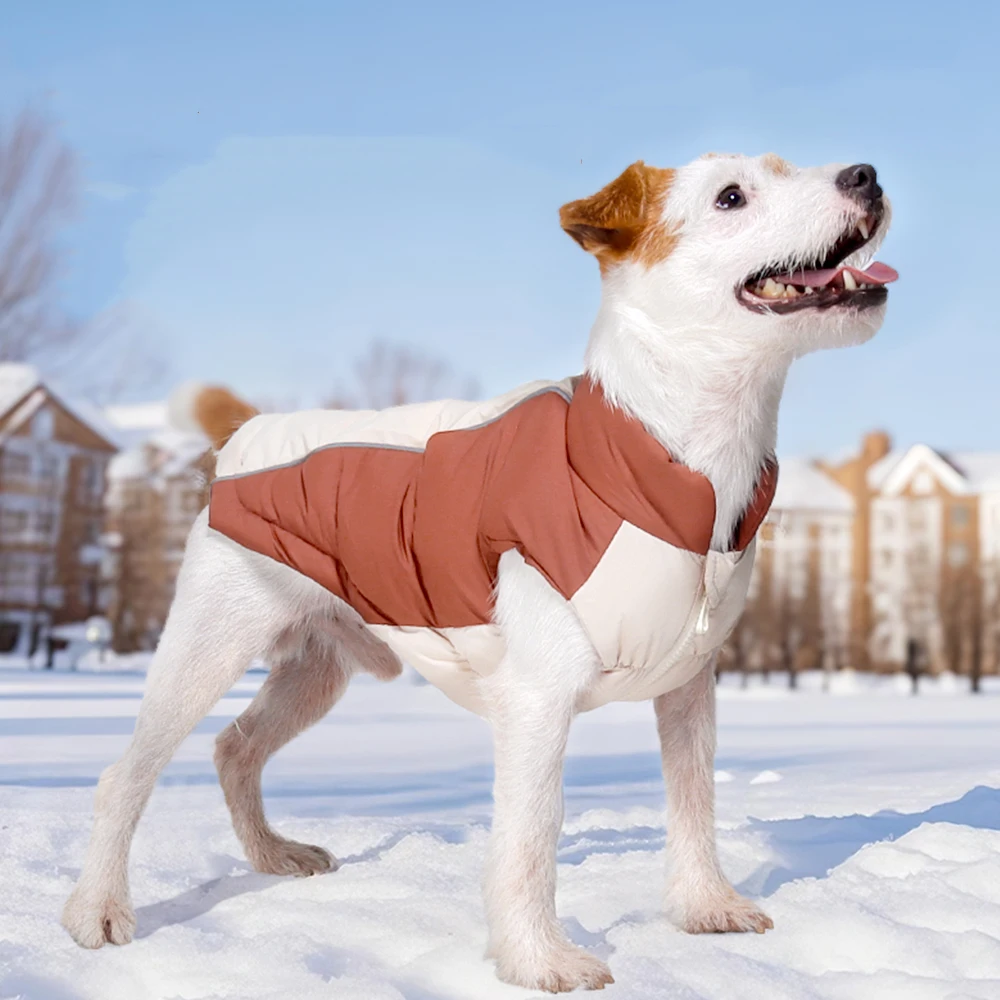 Warm Windproof Winter Dog down Jacket with Traction Hole Reflective Pet Coat for Small Dogs Yorkshire Corgi Puppy Clothes
