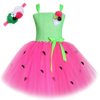 Sweet Green Pink Watermelon Dresses for Baby Girls Birthday Party Fruits Costumes Kids Toddler Photoshoot Ballet Tutus Outfits