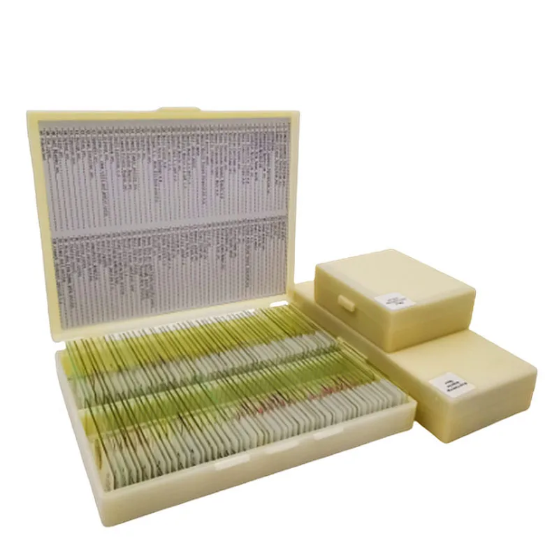 China Factory Supply Onderwijs Voorbereid Microscope Slides Voor Onderwijs