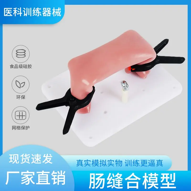 Laparoscopic Simulator/Intestinal Suture Model+Stent Clamp/Exercise Equipment