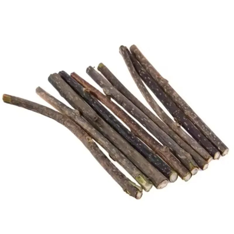 Woodruff Sticks für Katzen, natürliche Katzenminze, Kausticks, Zähne, Backenzahn, Kauspielzeug für Katzen, Kätzchen, Geschenke – Detail 6