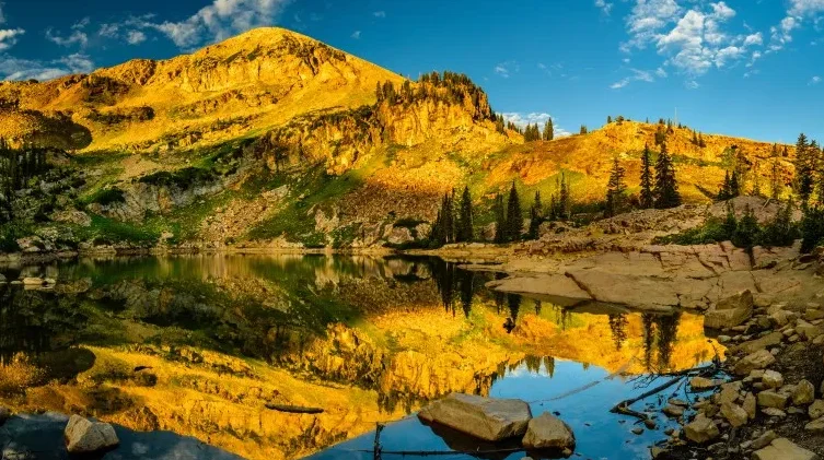 

FOXEER ELRS Receiver FPV Micro Long Distance 2.4GHz 915/868Mhz Receiver Nano RX For FPV Long Range Drones Mobula7 Mobula6