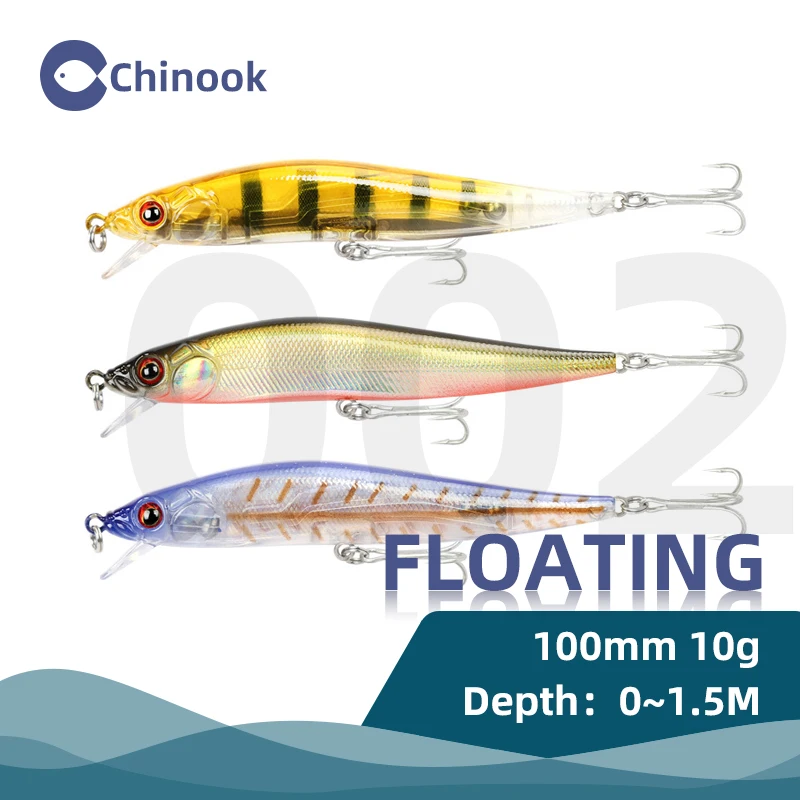 Minnow Fishing Lure 100mm 10g Floating Hard Bait Wobbler Jig Bait Crankbait Carp Striped bass Pesca Fishing tackle SwimBait