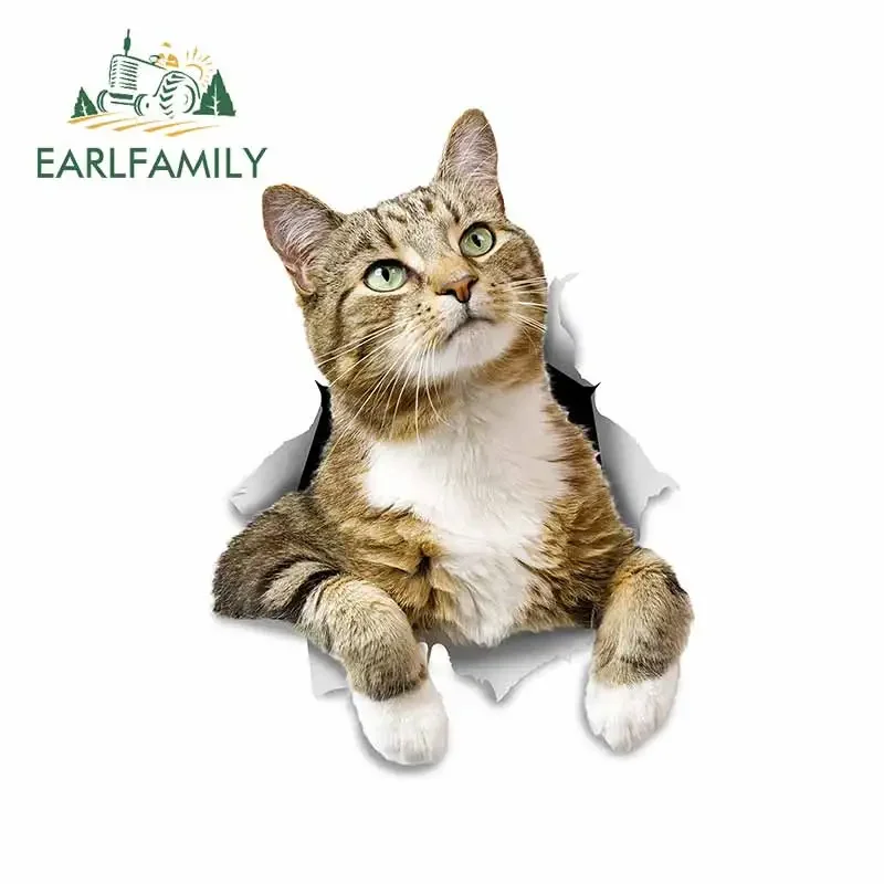 EARLFAMILY 13cm x 9.6cm for Cat Vinyl Car Wrap Stickers Interesting Decal Car Styling DIY Custom Printing For JDM SUV RV Decor