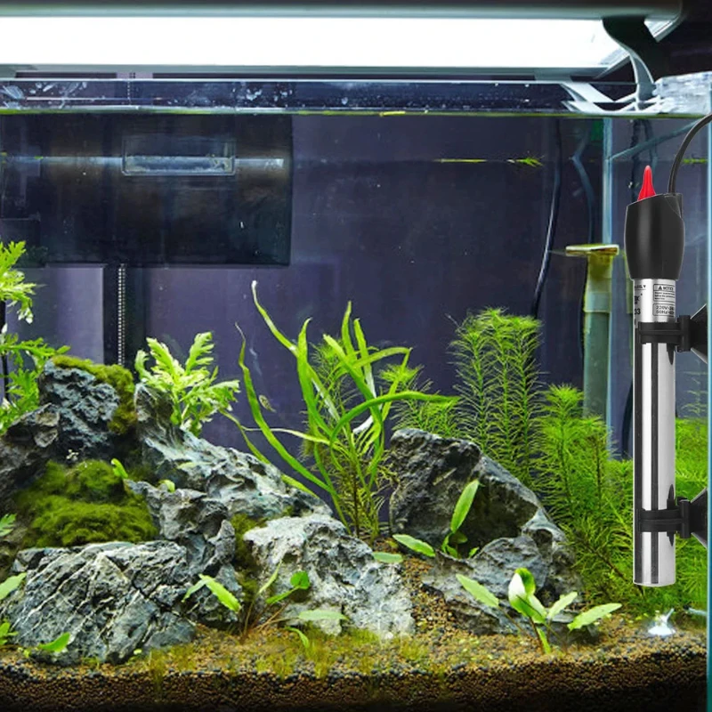 Riscaldatore per Acquario Anti - Aquarium Heater Submersible recensione e prezzo