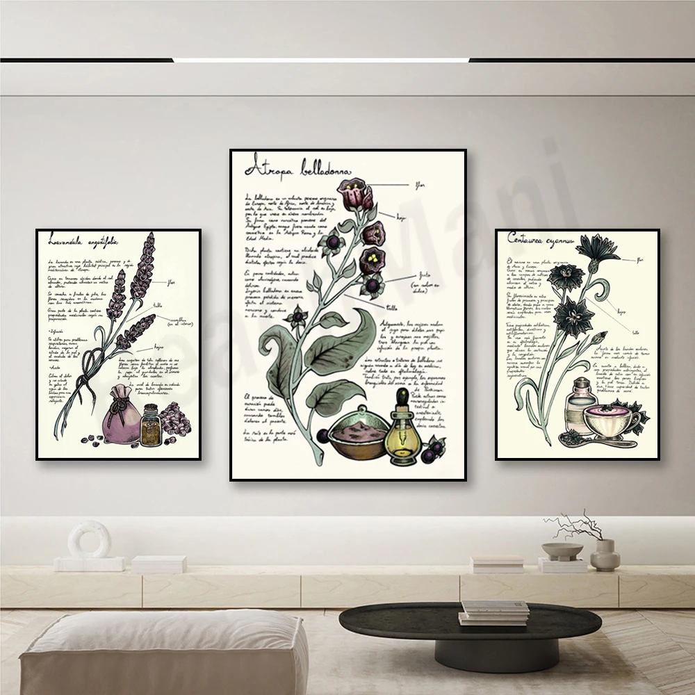 Cornflower, belladonna, lavender botanical poster print, wall art home office florist lover room decor