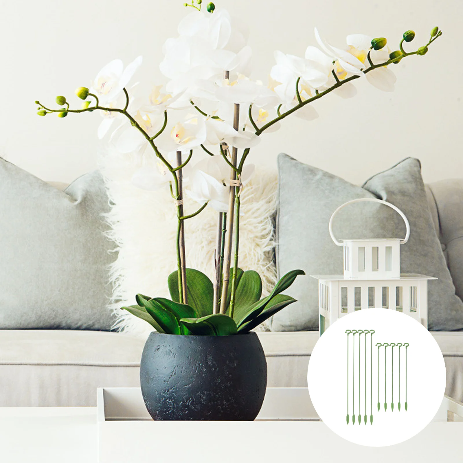 

10Pcs Flower Support Rods Small Potted Plant Stand Green Glass Fiber Multi-Function Plant Growth Support Rack Succulent Orchid