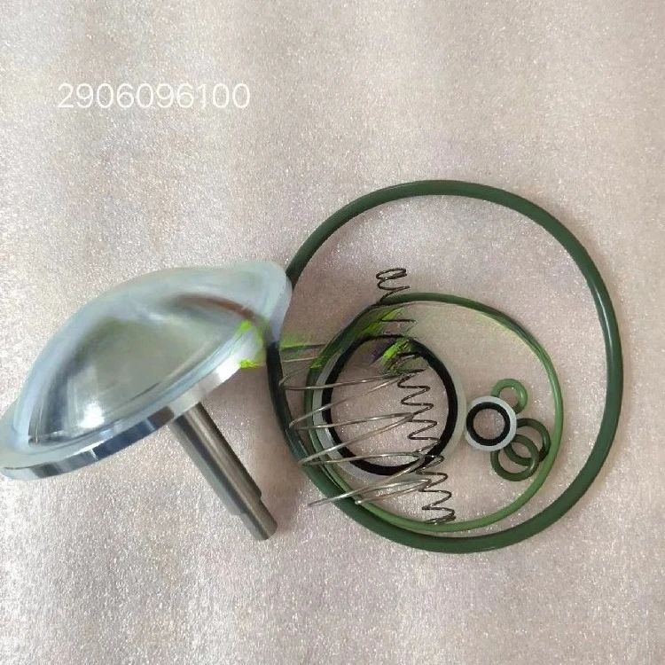 

2906096100 One-way Valve Maintenance Kit Suitable for Air Compressor Accessories