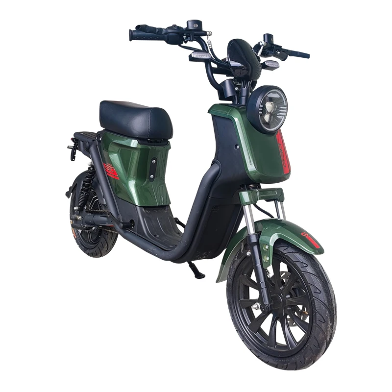 Factory,14 Inch,Household Electric Bike,800W Electric Motorcycle,Rider Cargo E-bike,48V Lithium Battery Electric Bicycle,OEM