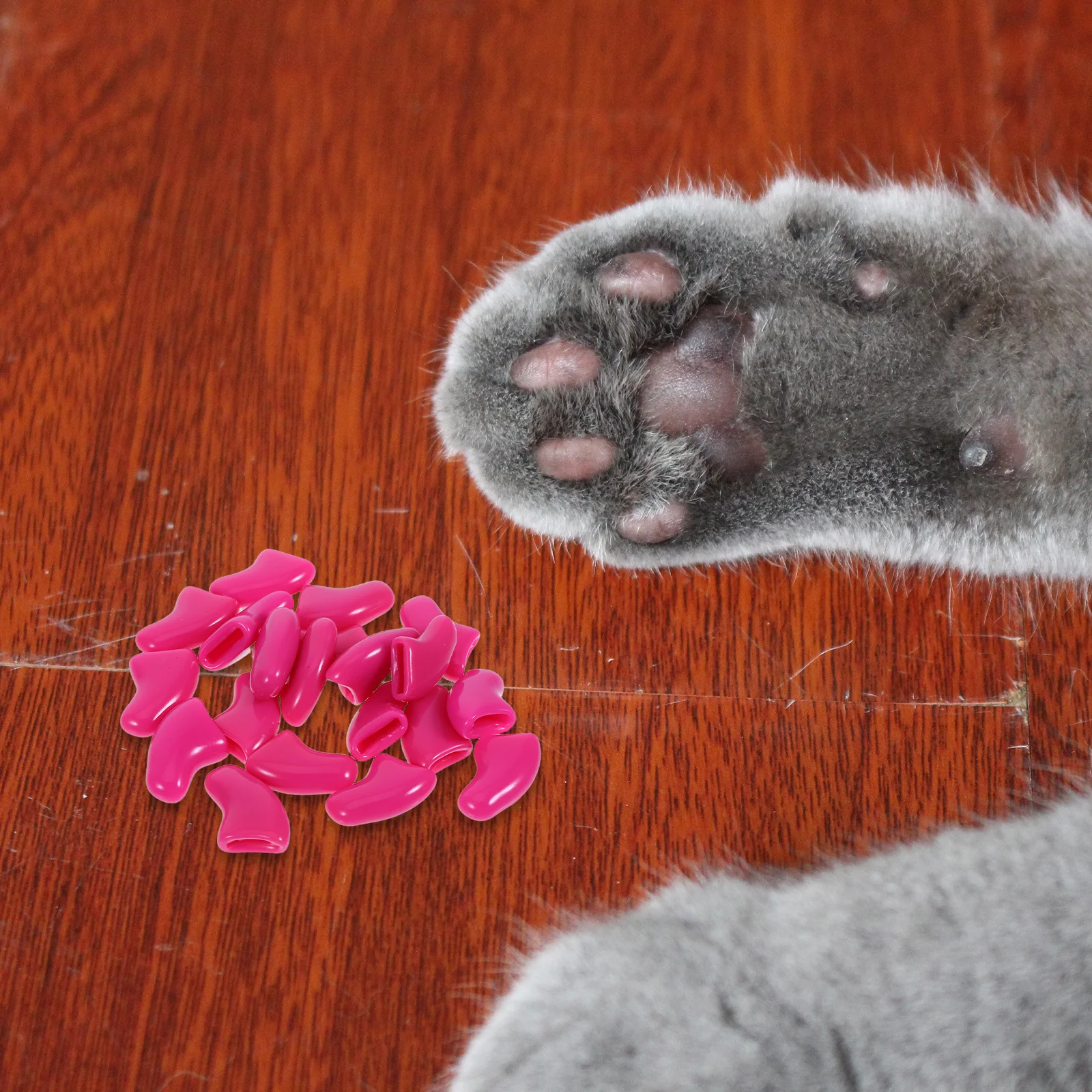 

20Pcs Cat Nail Tips Pet Grooming Supplies Kawaii Things for Cats Protect Furniture and Skin Various Colors Cat Bathing Supplies