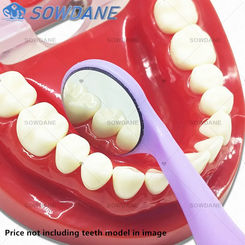 Dental Mouth Mirror Oral Examination Mirror front surface ultra definition Refractive Index 99.2% 92% and 85% with endo Ruler