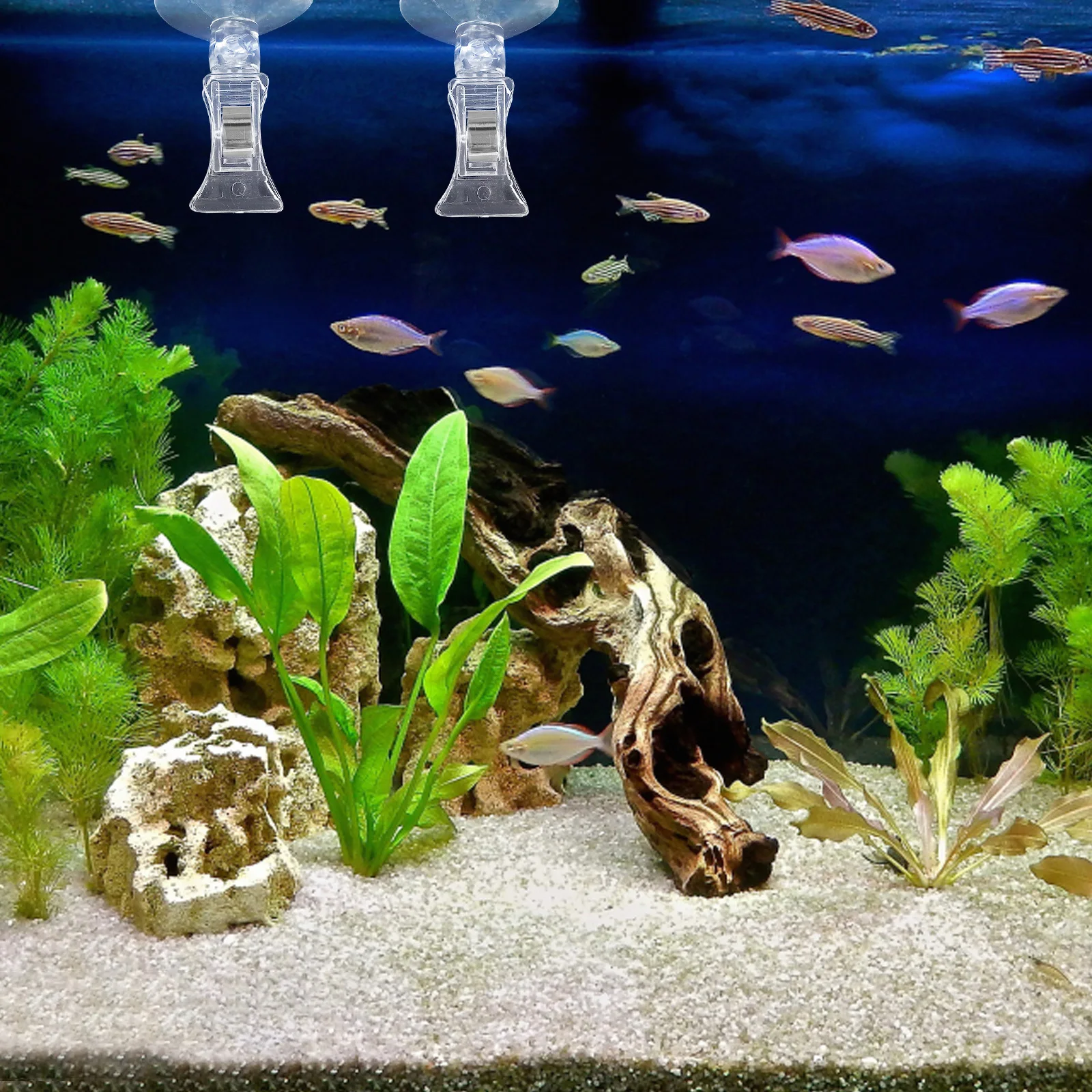 

2pcs Aquarium Feeding Clip Fish Tank Seaweed Holder Suction Cup Veggie Feeding Tool Adjustable Depth Fish Tank Accessories