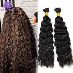 Bulk Human Hair For Braiding Wet and Wavy Doube Drawn Burmese Remy Hair No Weft Extensions For Boho Box Braids For Black Women