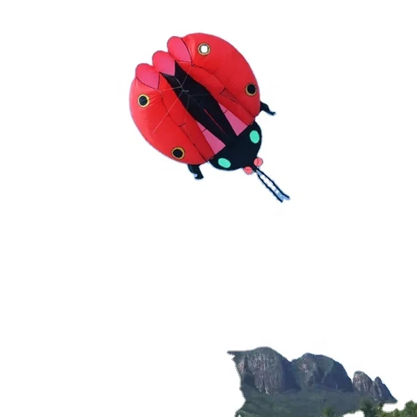 10 SQM Easy Flying Ladybug Inflatable Kite From China